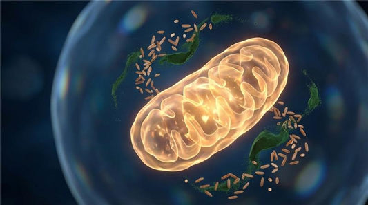 The Frontier of Bioenergetics: What is Advanced Cellular Nutrition?