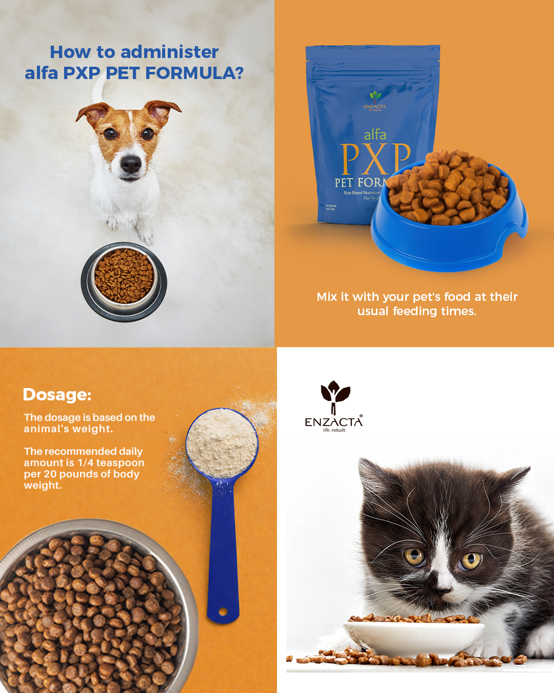 Instructions on administering alfa PXP PET FORMULA with images of a dog, cat, and text.