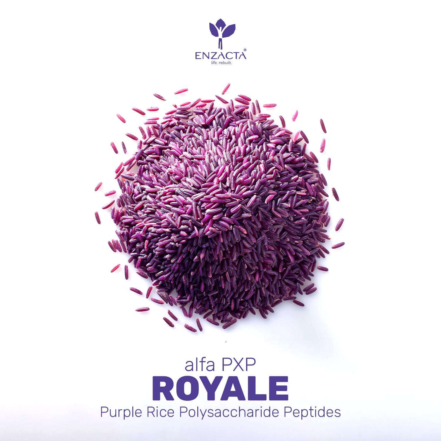 alfa PXP ROYALE – Enzacta USA