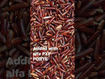 alfa CAFÉ NUTRA SIGNATURE BLEND